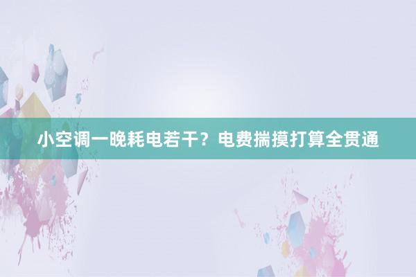 小空调一晚耗电若干？电费揣摸打算全贯通